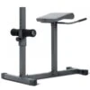 Marcy JD3.1 Hyper Extension - Fitshop -Fitnessapparatuur Marcy JD3 1 HyperExtension Bench 600