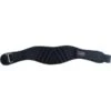 Chiba Gewichthefgordel Nylon Performer - Fitshop -Fitnessapparatuur chiba nylon performer 01 d