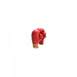 Everlast Jeugd Bokshandschoen - Fitshop